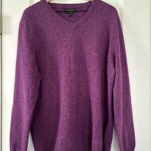 Club room luxury men’s XL 100% cashmere V-Neck sweater purple office preppy